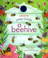 Image of peep inside a behive