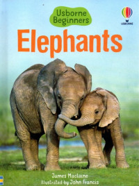 Elephants