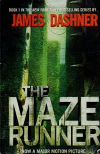 The Maze Runner