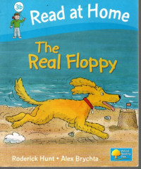 The Real Floppy