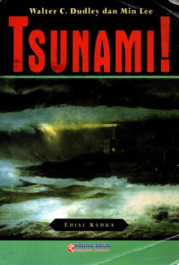 Image of Tsunami!