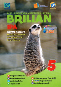 Brillian IPA V