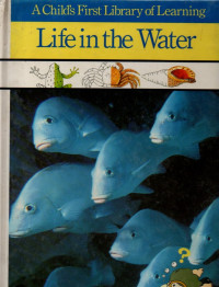 Life in the Water