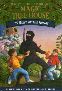 Night of The Ninjas