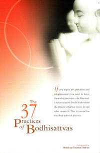 Image of The 37 Practices of Bodhisattvas