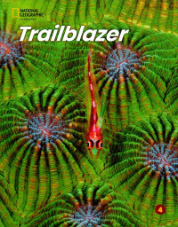 Image of Trailblazer 4