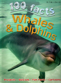 Whales &Dolphins